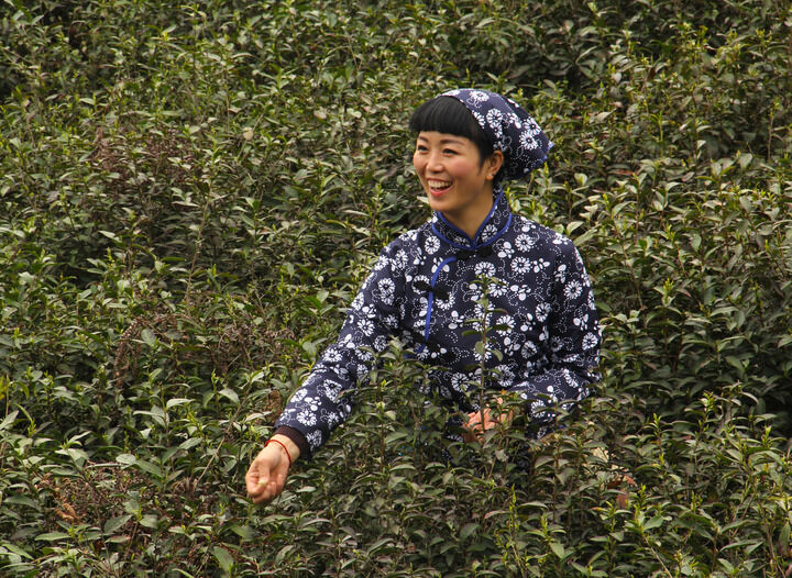 嘴唇直播下载 烟雾信号